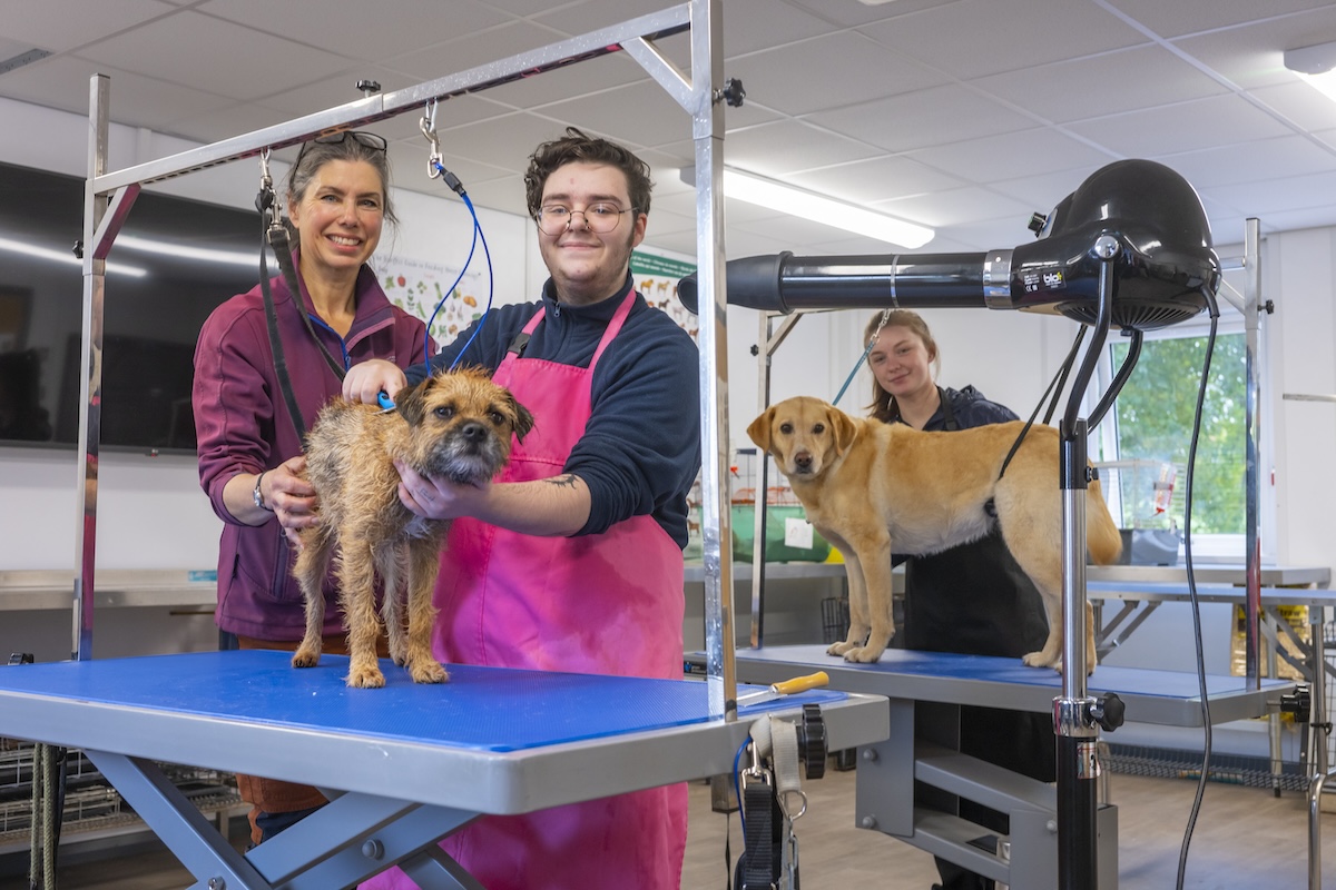staff and students standing with dogs in an animal care classroom.